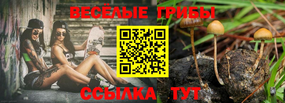 Псилоцибиновые грибы Psilocybe Надым