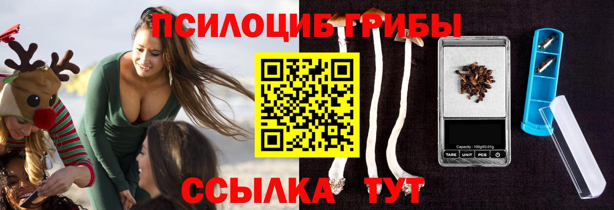 Надым  Псилоцибиновые грибы ЛСД  Вход с VPN 