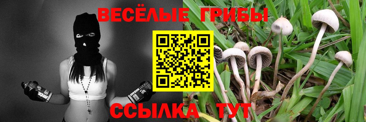 Каннабис  Экстази  Вход с VPN  Надым  Гашиш  Гашиш  Меф кристаллы 